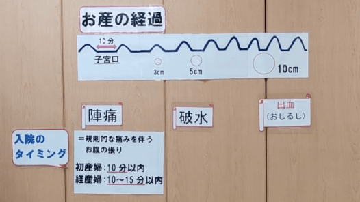後期クラス [お産の経過について]